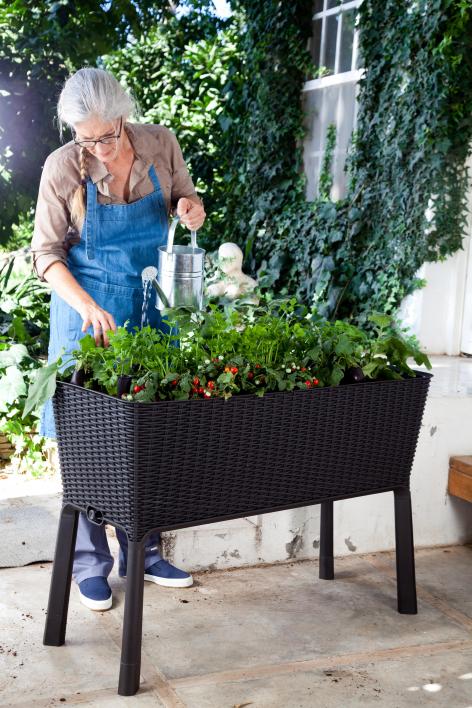 Грядка Keter EASY GROWING