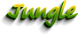 JUNGLE